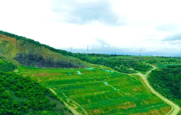 苏建宏：在整治现场，被磷石膏库的“新生”深深触动